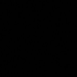 Meet your Posher, Antonio